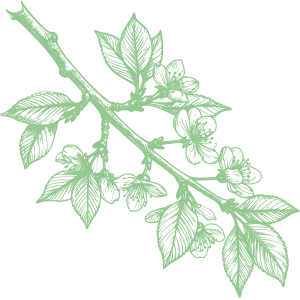 sustainable and local